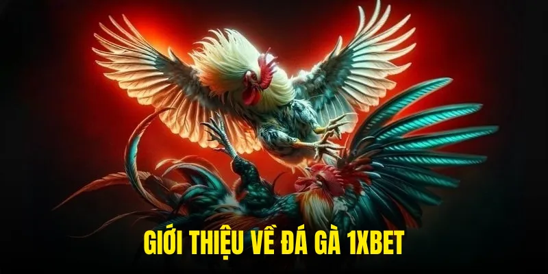 Tổng quan về đá gà 1xbet